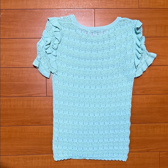 Zara Light Blue/Green Lace Ruffle Sleeve Top - Picture 4 of 4
